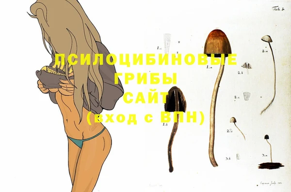 прущий лед Кукмор
