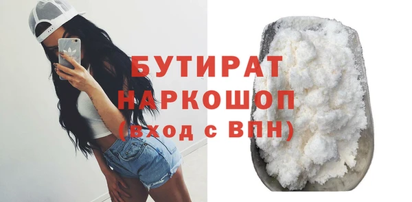 индика Краснослободск