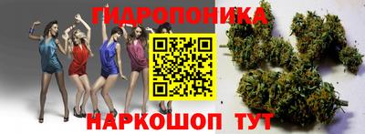 эйфоретик Гай