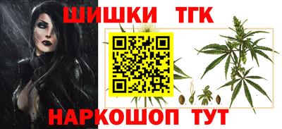 спиды Гагарин