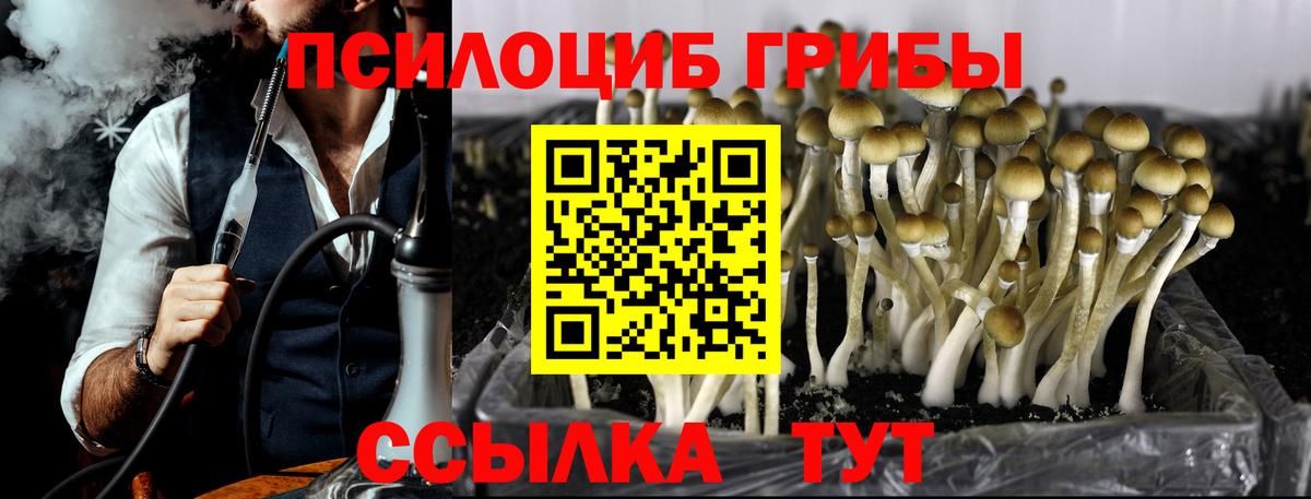 Псилоцибиновые грибы MAGIC MUSHROOMS Елец