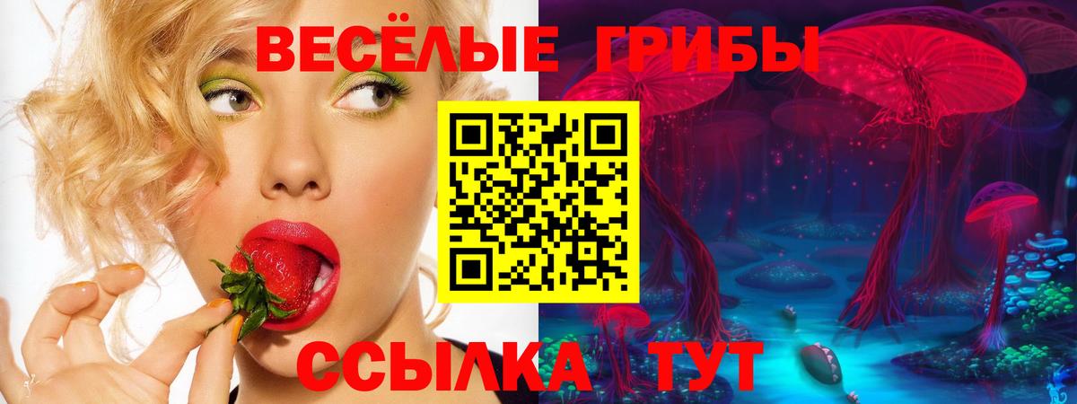 Псилоцибиновые грибы Cubensis Елец